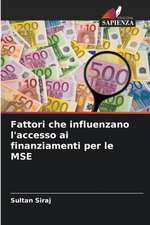 Fattori che influenzano l'accesso ai finanziamenti per le MSE