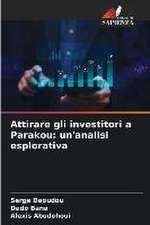 Attirare gli investitori a Parakou: un'analisi esplorativa