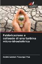 Fabbricazione e collaudo di una turbina micro-idroelettrica