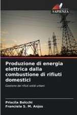 Produzione di energia elettrica dalla combustione di rifiuti domestici