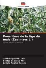 Pourriture de la tige du maïs (Zea mays L.)