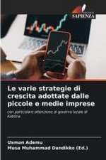 Le varie strategie di crescita adottate dalle piccole e medie imprese