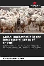 Spinal anaesthesia in the lumbosacral space of sheep