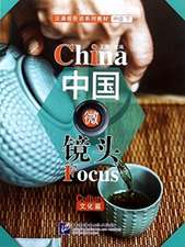 Tao, W: China Focus - Intermediate Level II: Culture