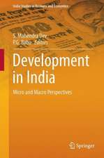 Development in India: Micro and Macro Perspectives