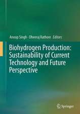 Biohydrogen Production: Sustainability of Current Technology and Future Perspective