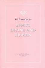 Essays Divine and Human