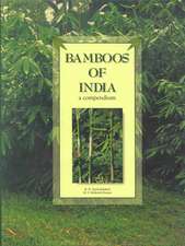 Bamboos of India: A compendium