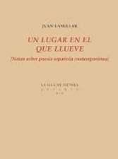 Un lugar en el que llueve : notas sobre poesía española contemporánea