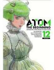 ATOM THE BEGINNING N 12