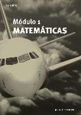 Matemáticas : módulo 1