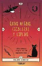 Gatos negros, escaleras y espejos