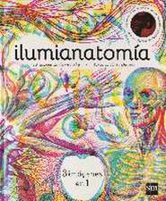 Ilumianatomía