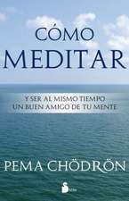 Como Meditar: Y Ser al Mismo Tiempo un Buen Amigo de Tu Mente = How to Meditate