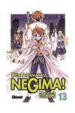 Negima! Magister Negi Magi 13