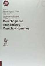 Derecho penal económico y derechos humanos