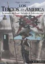 Los Tercios en América : la jornada de Brasil, Salvador de Bahía 1624-1625