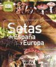 Setas de España y Europa