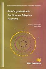 Self-Organization in Continuous Adaptive Networks