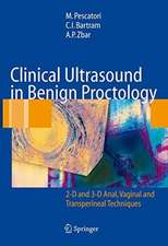 Clinical Ultrasound in Benign Proctology: 2-D and 3-D Anal, Vaginal and Transperineal Techniques