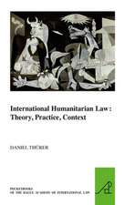 International Humanitarian Law: Theory, Practice, Context