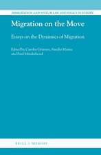 Migration on the Move: Essays on the Dynamics of Migration