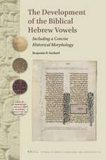 The Development of the Biblical Hebrew Vowels: Including a Concise Historical Morphology