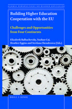 Building Higher Education Cooperation with the EU: Challenges and Opportunities from Four Continents