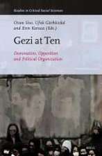 Gezi at Ten: Domination, Opposition and Political Organization