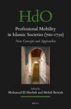 Professional Mobility in Islamic Societies (700-1750)