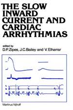 The Slow Inward Current and Cardiac Arrhythmias