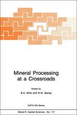 Mineral Processing at a Crossroads