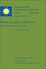 Plants as Solar Collectors: Optimizing Productivity for Energy