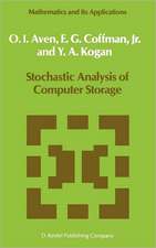 Stochastic Analysis of Computer Storage