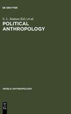 Political Anthropology