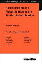 Flexibilisation and Modernisation of the Turkish Labour Market