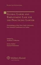 Global Labor and Employment Law for the Practicing Lawyer: Proceedings of the New York University 61st Annual Conference on Labor