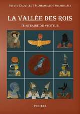 La Vallee Des Rois: Itineraire Du Visiteur