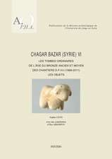 Chagar Bazar (Syrie) VI: Les Tombes Ordinaires de l'Age Du Bronze Ancien Et Moyen Des Chantiers D-F-H-I (1999-2011): Les Objets