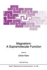 Magnetism: A Supramolecular Function