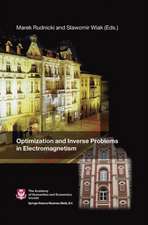 Optimization and Inverse Problems in Electromagnetism