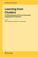 Learning from Clusters: A Critical Assessment from an Economic-Geographical Perspective