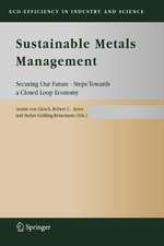 Sustainable Metals Management: Securing Our Future - Steps Towards a Closed Loop Economy