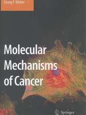 Molecular Mechanisms of Cancer