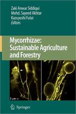 Mycorrhizae: Sustainable Agriculture and Forestry