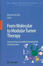 From Molecular to Modular Tumor Therapy:: Tumors are Reconstructible Communicatively Evolving Systems