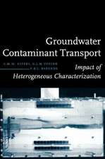 Groundwater Contaminant Transport: Impact of heterogenous characterization: a new view on dispersion