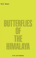 Butterflies of the Himalaya