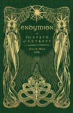 Endymion or The State of Entropy