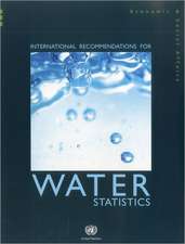 International Recommendations for Water Statistics